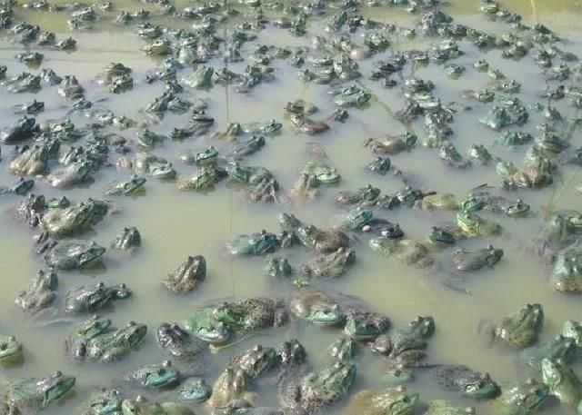 KY开元集团官网