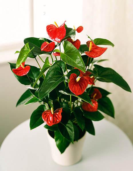 ky开元电竞|《时空猎人》新角色超爷们:这一斧头下去脑壳...(图4) ky开元集团